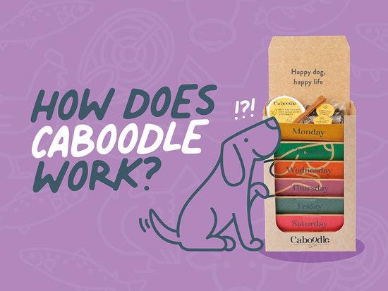 How Does Caboodle Work?