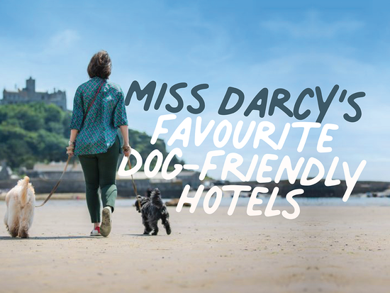 Miss Darcy's Favourite Dog Friendly Hotels