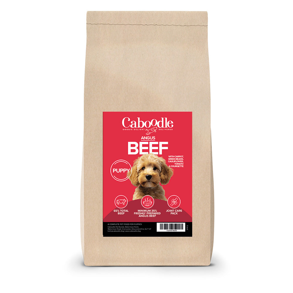 Dry Puppy Food Beef Flavour