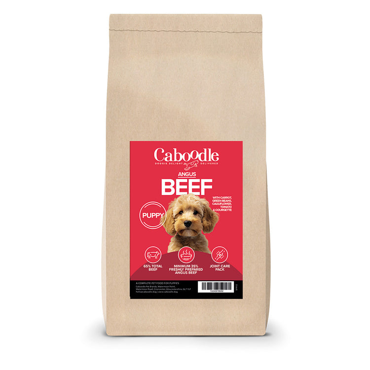 Dry Puppy Food Beef Flavour