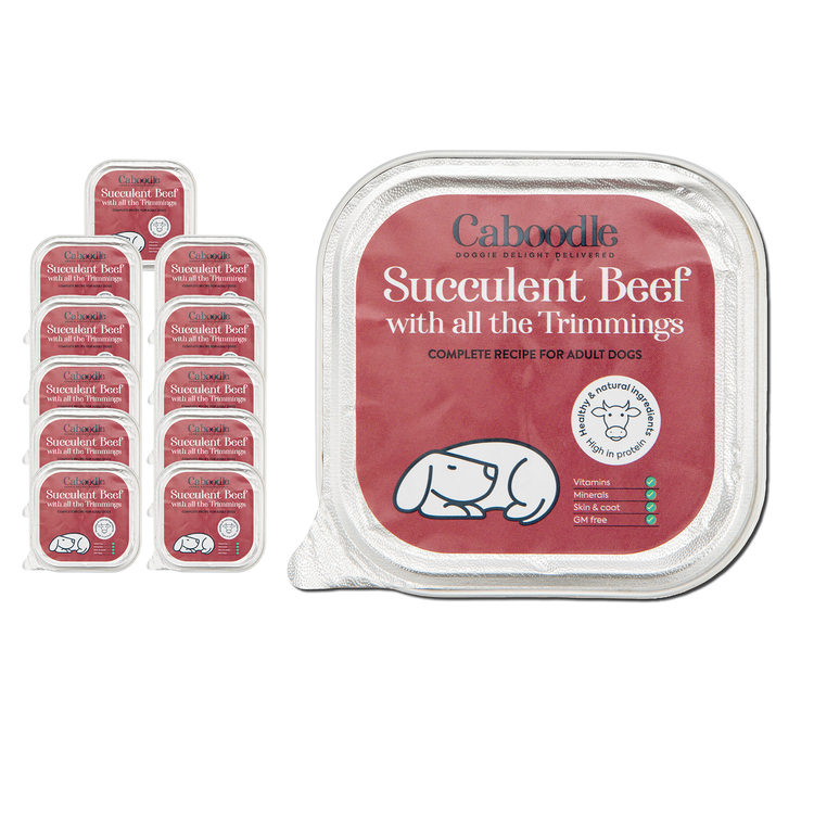 Wet Dog Food Beef flavour