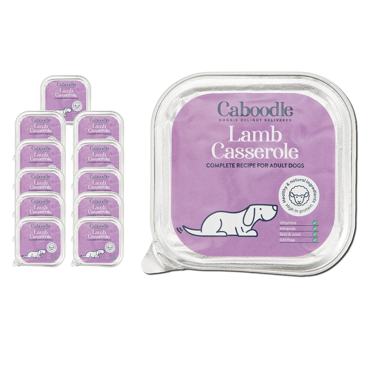 Caboodle wet food lamb
