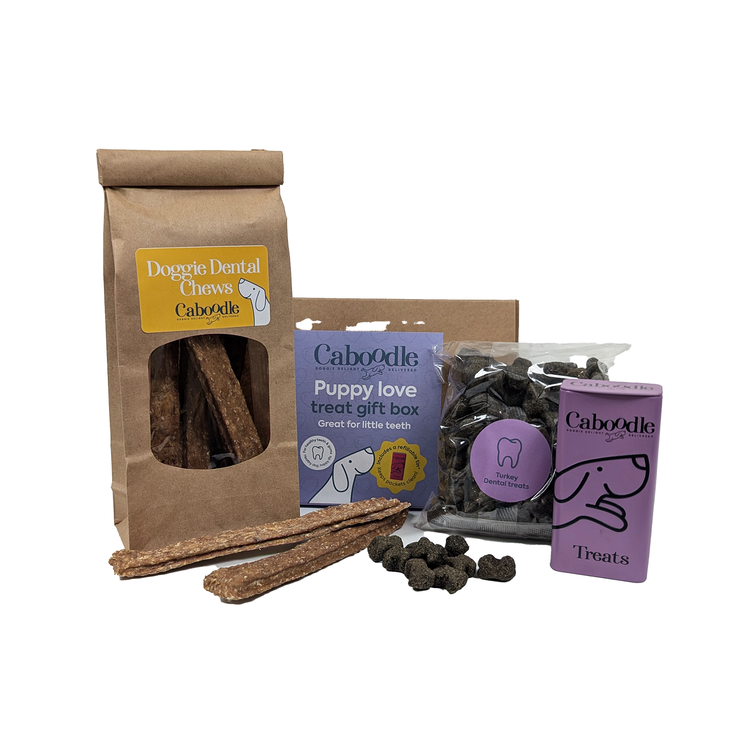 Treat boxes for dogs and puppy