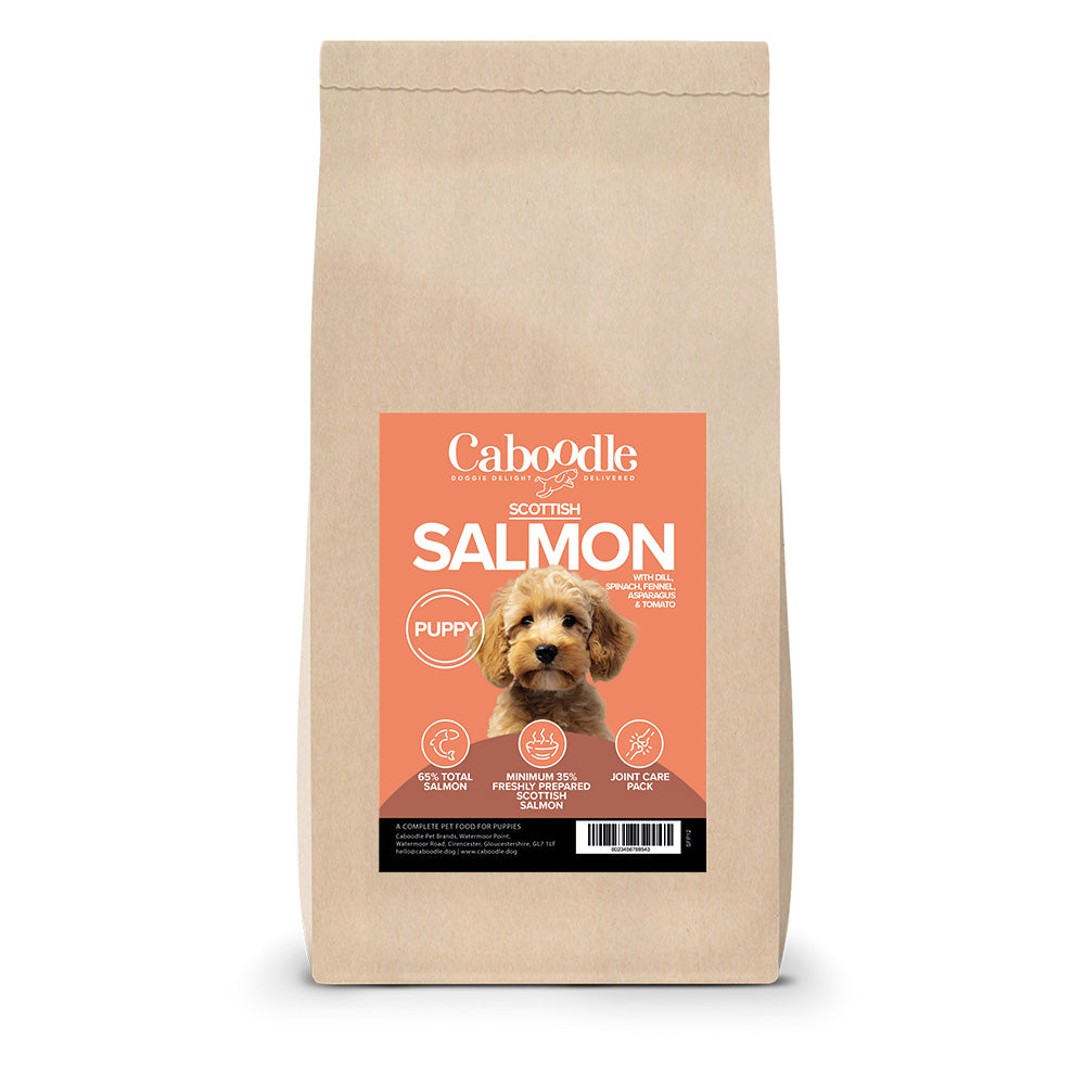 Salmon Flavour Dry Puppy Food
