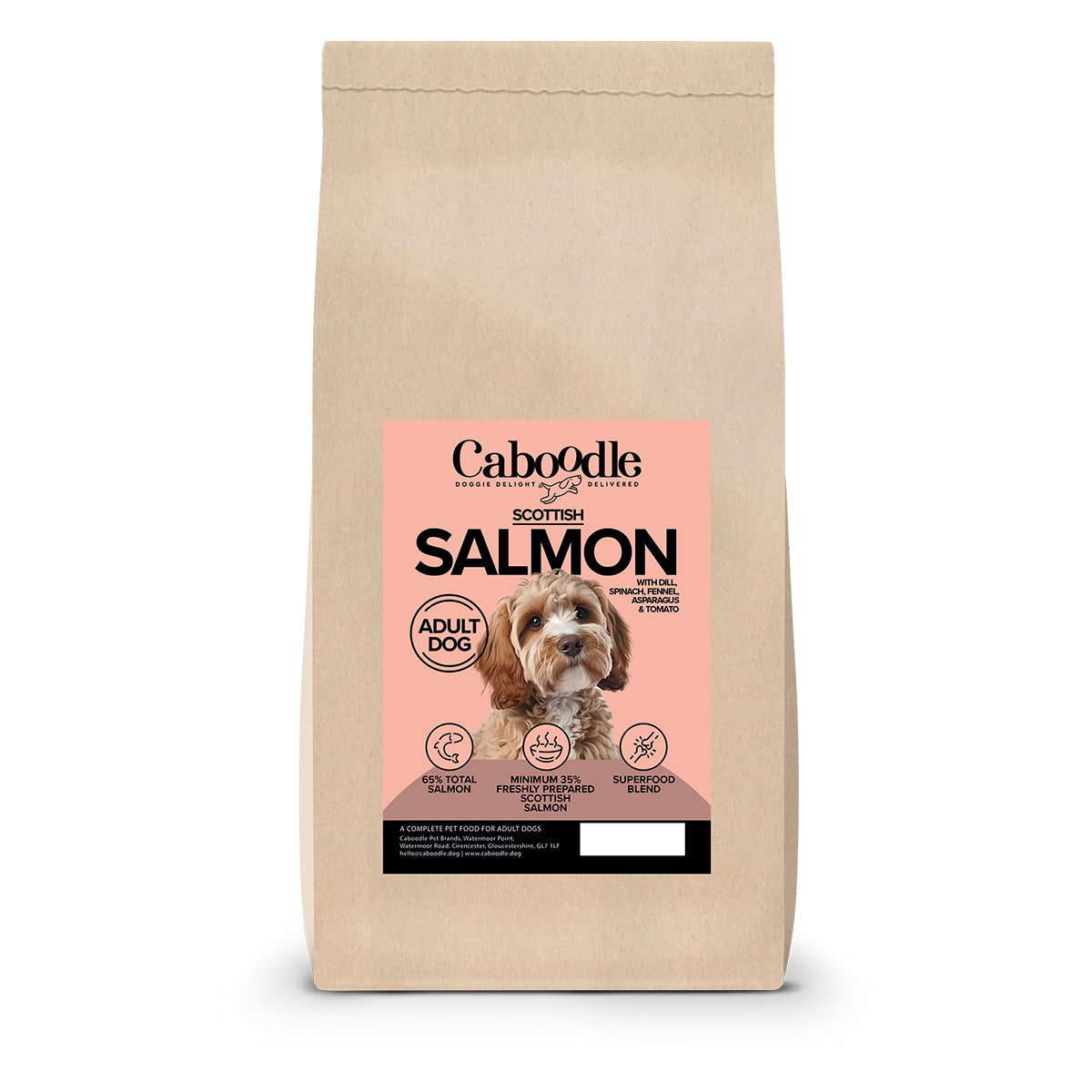 salmon kibble dog food
