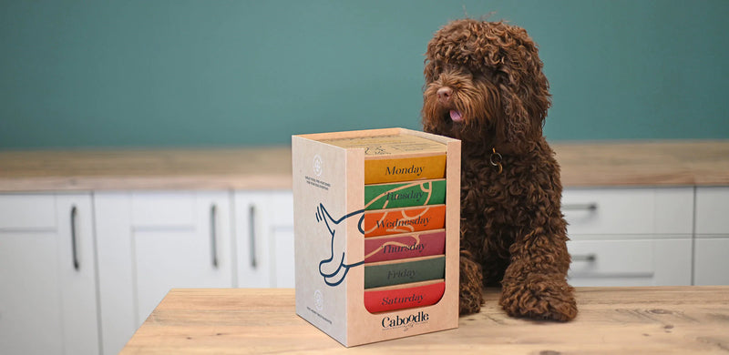 Load video: Why Caboodle dog food is great value