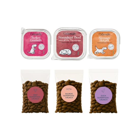 grain-free dog food sample
