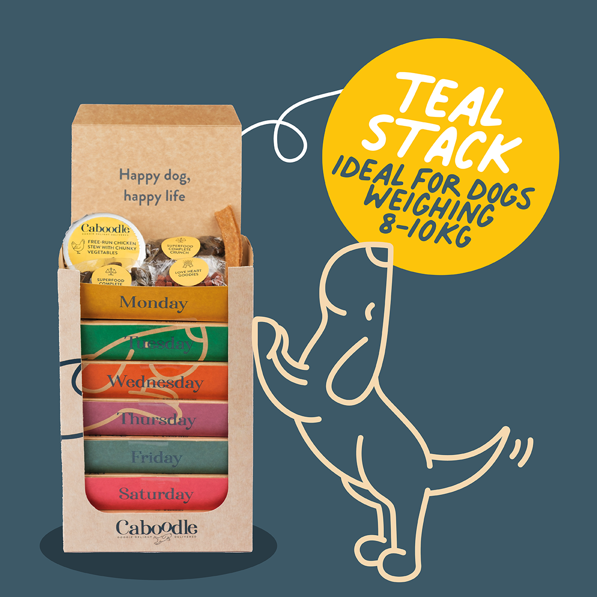 Daily Dog Food Boxes in Weekly Stacks - Teal (8-10kg's) – Caboodle