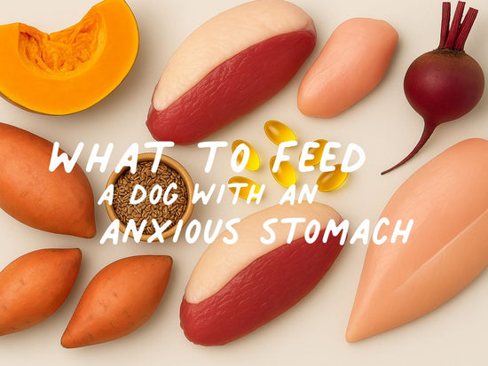 natural ingredients for anxious stomach