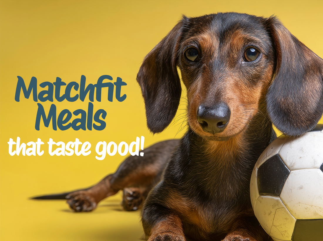 Match Fit Meals - Weight Control Never Tasted this Good