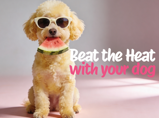 Too hot or not to walk your dog?