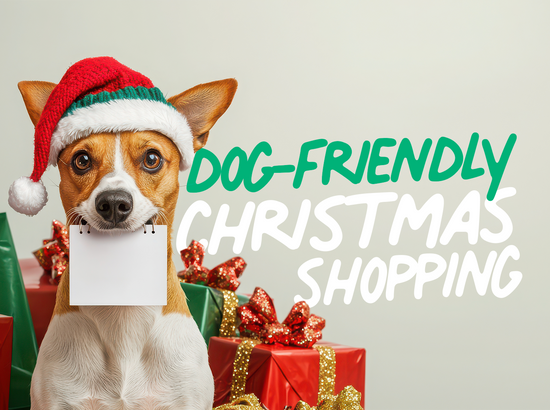 Dog-Friendly Christmas Shopping: 2025 Edition