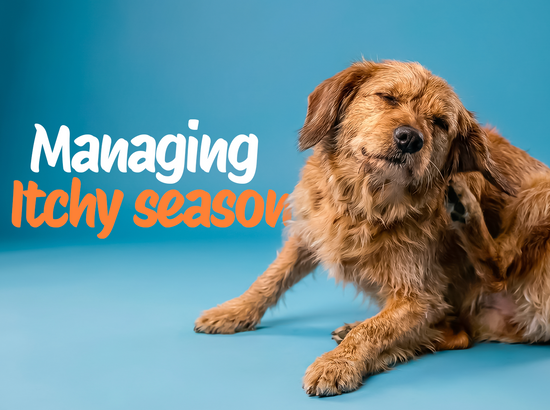 Managing “Itchy Season” Naturally