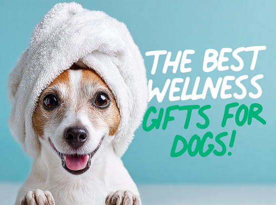 Best Wellness Gift For Dogs This Christmas