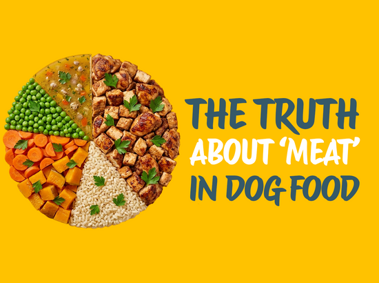 What the Dog Food Industry Doesn't Want You to Know About "Meat"