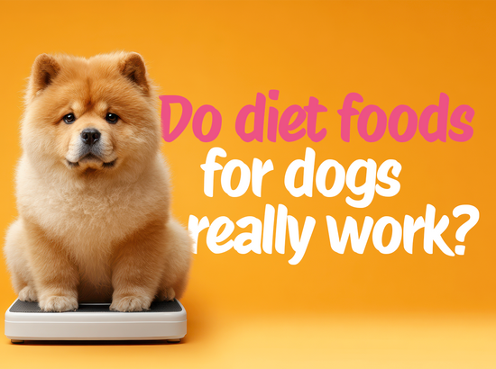 Does 'Diet Food' for Dogs Really Work? A Fun and Honest Take