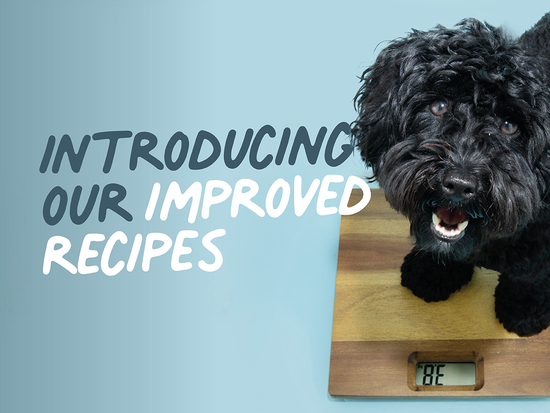 Improved dog food recipes by Caboodle