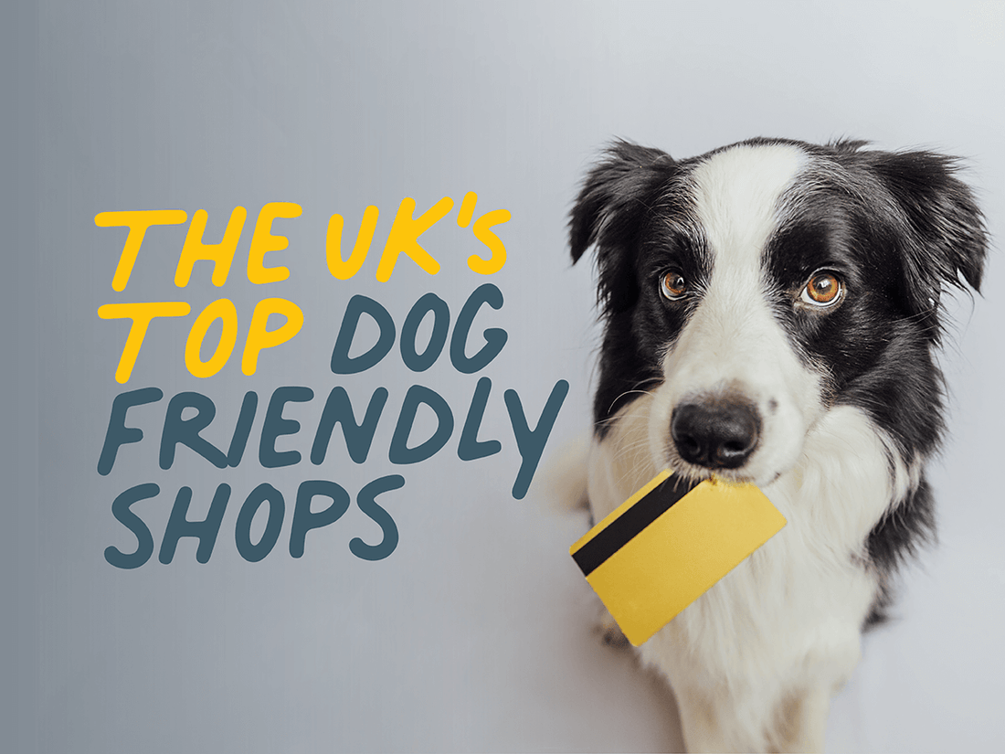 Dog friendly shops in the UK 