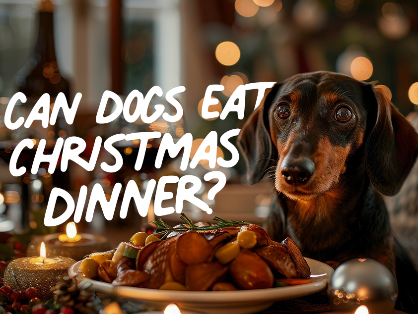 Can dogs eat Christmas dinner?