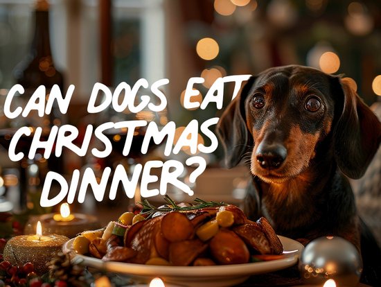 Can dogs eat Christmas dinner?