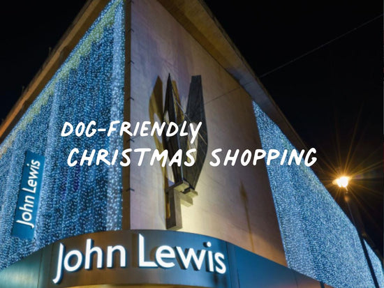 Dog-Friendly Christmas Shopping: 2025 Edition