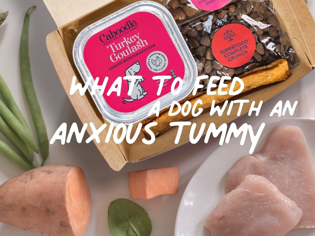 Caboodle Turkey meal plan