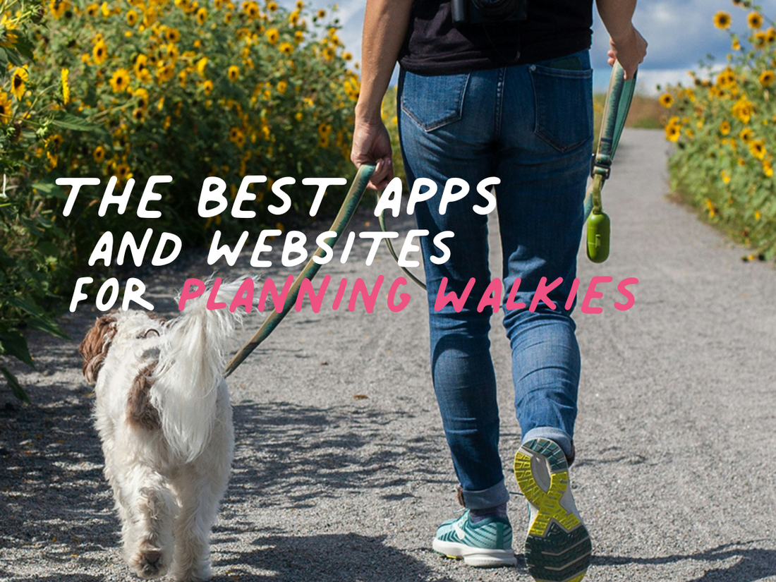 person walking dog