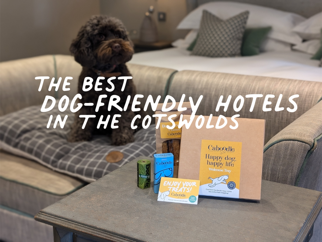 Dog-friendly hotels in Cotswolds