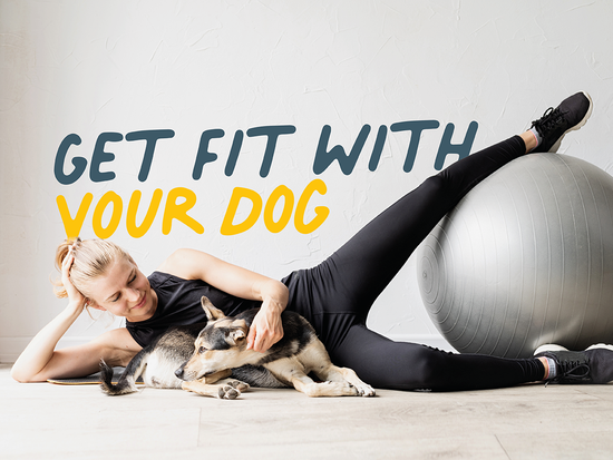 Getting Fit With Your Dog
