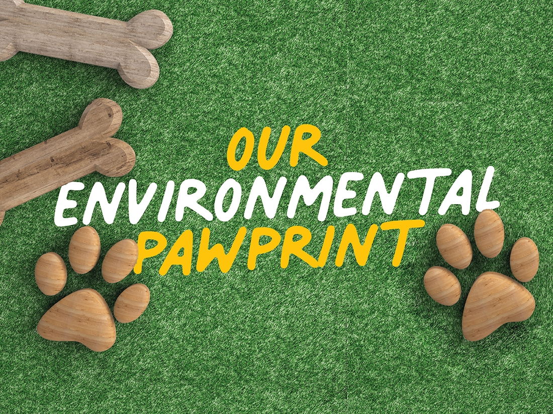 Our Environmental Pawprint