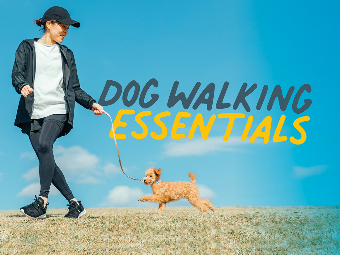 Dog Walking Essential Kit