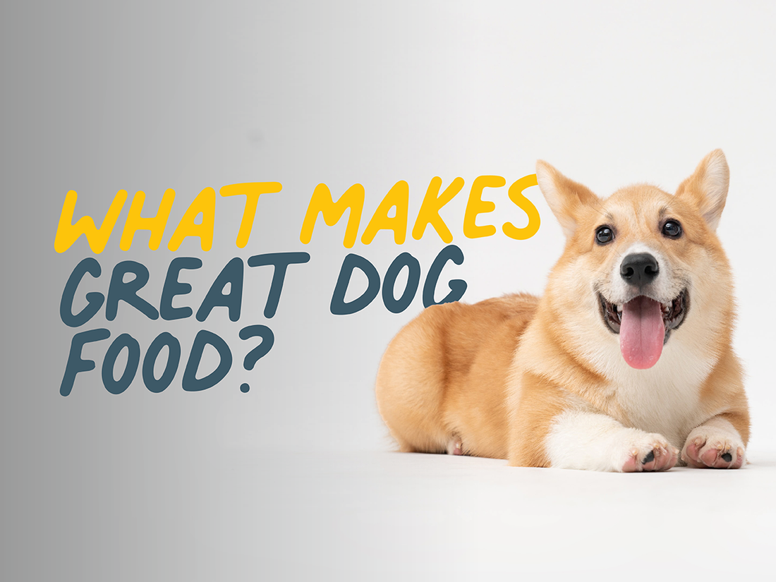 What makes great dog food?