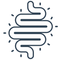 Prebiotics