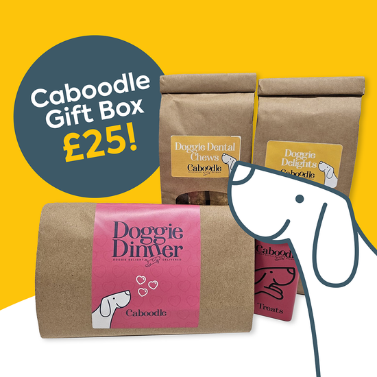 Caboodle Gift Box