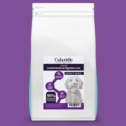 Grain-Free Gastrointestinal Dog Food for Sensitive Digestion