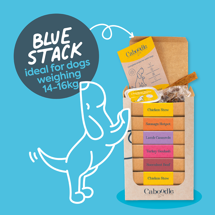 Caboodle dog food subscription