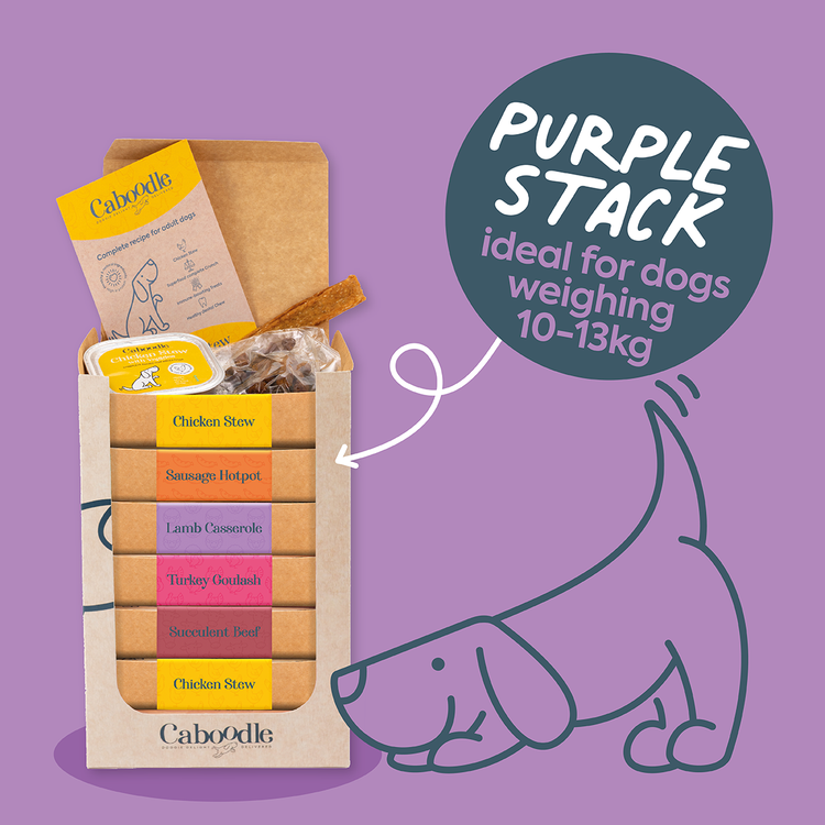 Caboodle dog food subscription