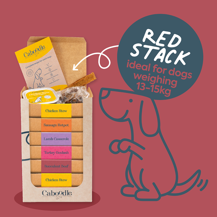 Caboodle dog food subscription