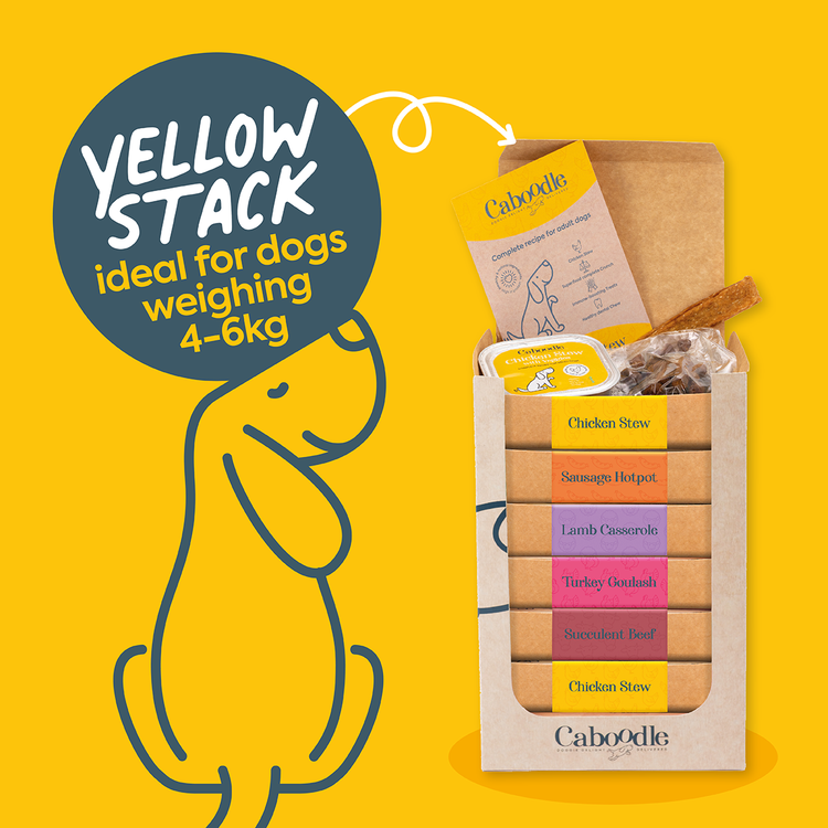 Daily Dog Food Boxes in Weekly Stacks - Yellow (4-6kg’s) – Caboodle