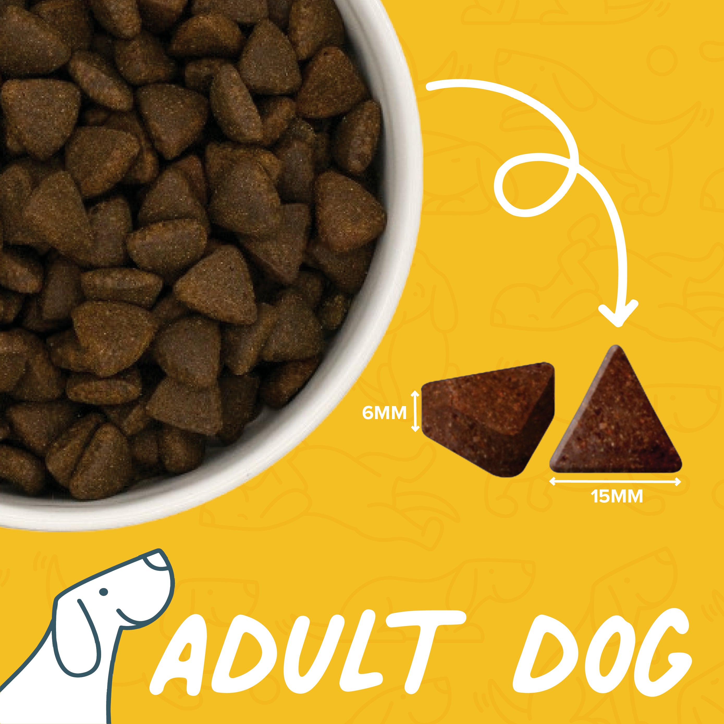 Superfood Senior Light Dry Food – Caboodle