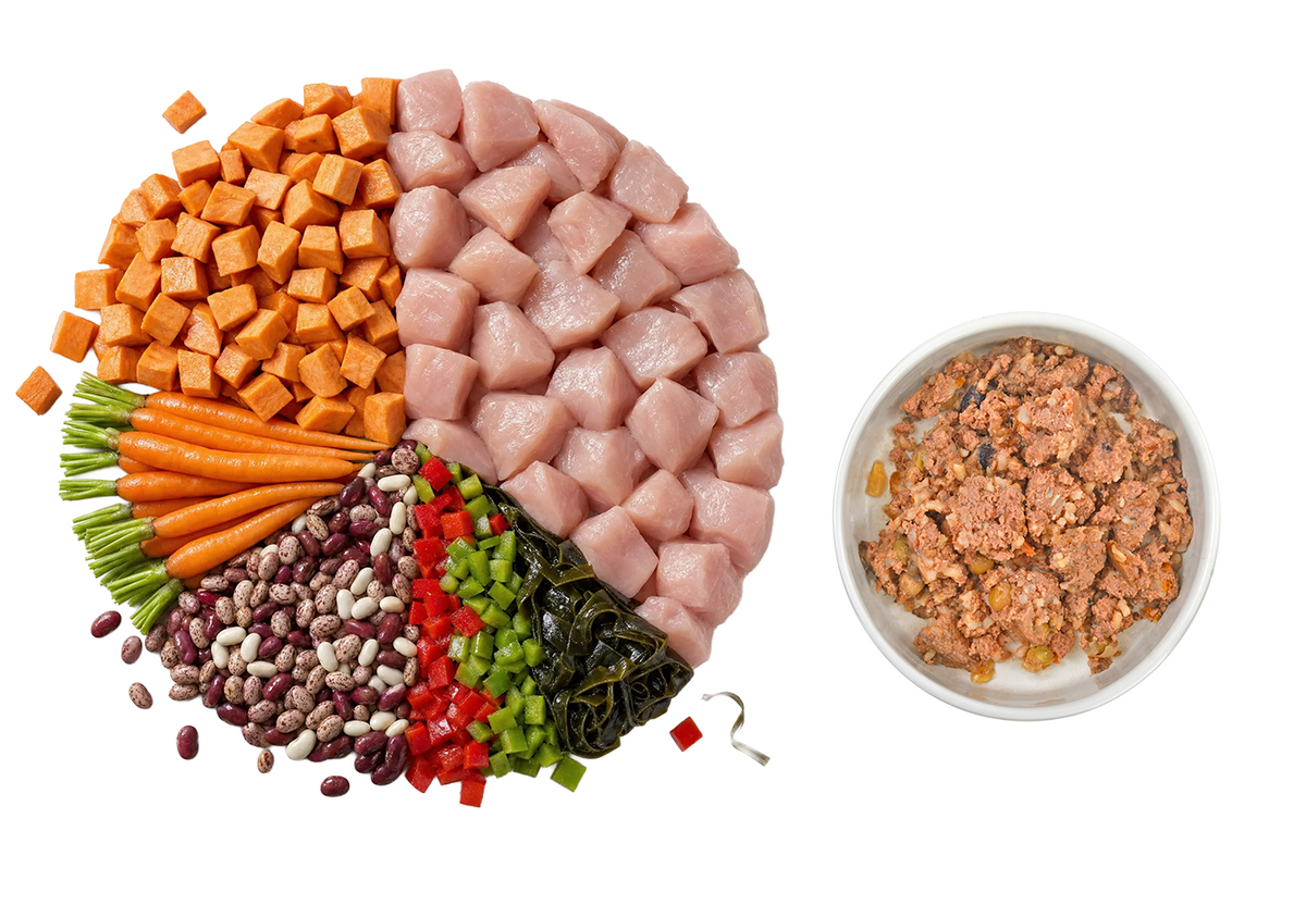 Caboodle balanced dog food ingredients