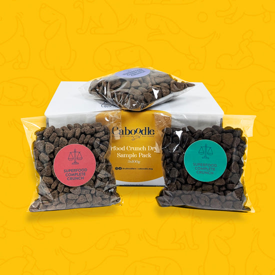 Dry Dog Food sample pack