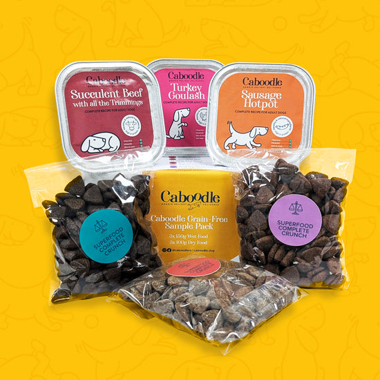 grain-free dog food sample