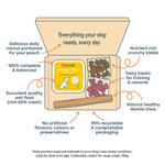 Caboodle daily dog food box