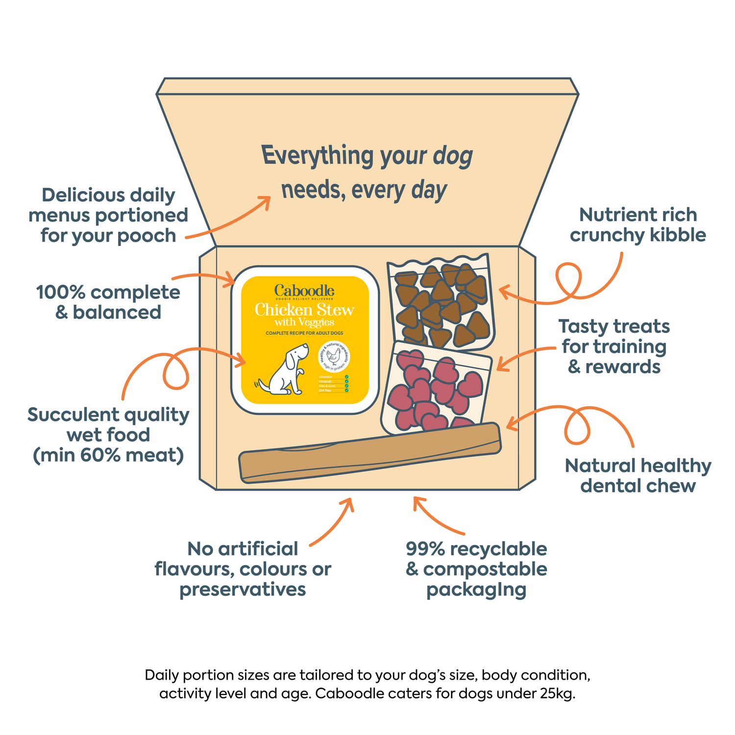 Caboodle daily dog food box