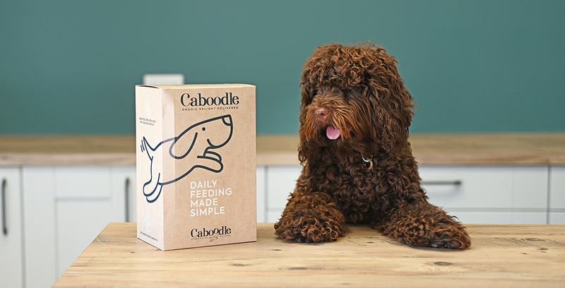 Caboodle - Delicious Dog Food in Pre-portioned meal plans