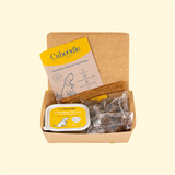 Sample Tray