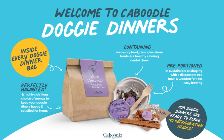 Caboodle Doggie Dinner 