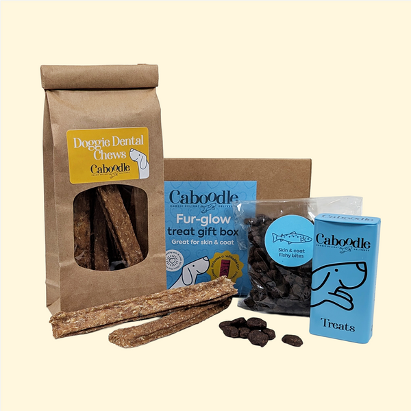 Fur-Glow Treat Gift Box