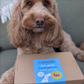 Fur-Glow Treat Gift Box